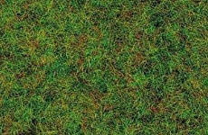 Grass fibre
