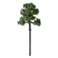Deciduous tree natural green 6 mm