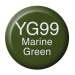 COPIC Ink type YG99 marine green