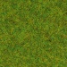 Scattered grass 1.5 mm spring meadow 20g