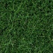 Wild grass 6 mm dark green 50g