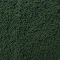 Foliage dark green