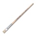 Pelikan Bristle Brush 613 F Size 18