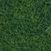 Wild grass XL 12 mm dark green 40g