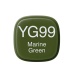 Copic marker YG99 marine green