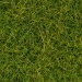 Wild grass XL 12 mm light green 40g