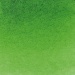 Horadam Watercolor 1/2 Pan sap green