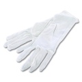 Cotton Gloves, Size 10