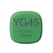 Copic Marker YG45 cobalt green