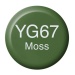 COPIC Ink type YG67 moss
