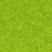 Scatter grass 2.5 mm spring meadow 20g