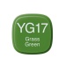 Copic marker YG17 grass green