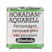 HORADAM Aquarell 1/2 Napf permanentgrün