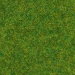 Sprinkle grass 1.5 mm ornamental grass 20g