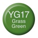 COPIC Ink type YG17 grass green