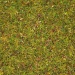 Scatter grass flower meadow 20g
