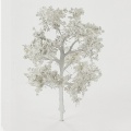 Foliage Tree White 35 mm