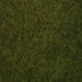 Wildgras-Foliage olivgrün