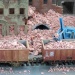 Building rubble / debris Juweela 28127