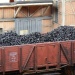 Coal Coke Juweela 24105