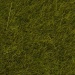 Wild grass 6 mm meadow 50g