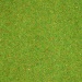 Grass mat flower meadow